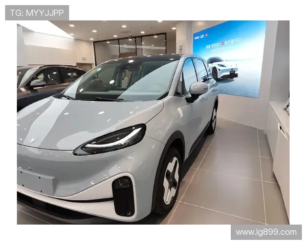 10万级纯电SUV新宠——极狐考拉S,真的香!