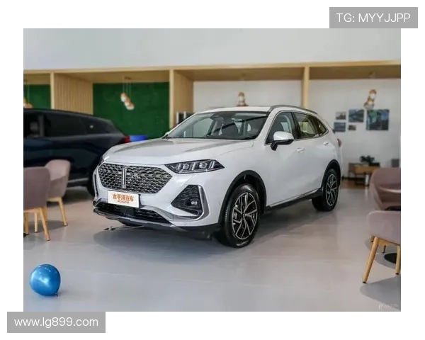 10台灵活的大空间全新SUV年内到!长城占三席,赶紧攒钱~