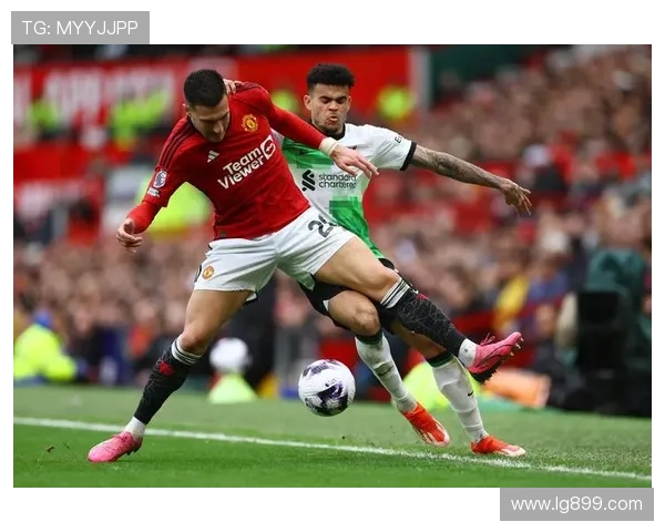 ✅体育直播🏆世界杯直播🏀NBA直播⚽- （文化新纪行）650余岁南京明城墙：墙外“开花”墙亦香- sports
