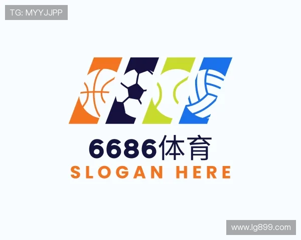 介绍6686
